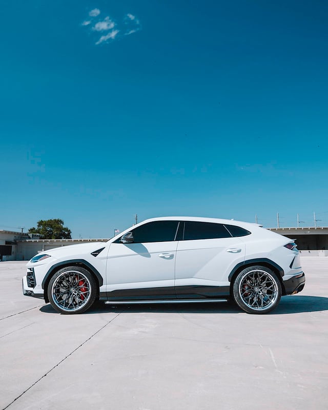 54430525418_b8d97afd8a_c